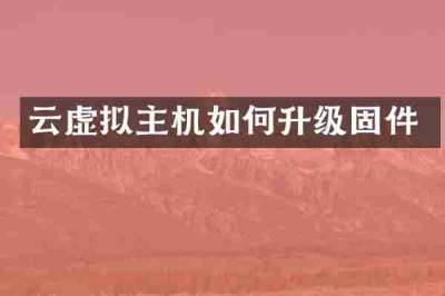 云虚拟主机如何升级固件