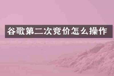 谷歌第二次竞价怎么操作