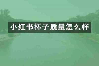 小红书杯子质量怎么样