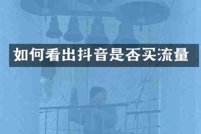 如何看出抖音是否买流量