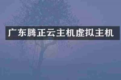 广东腾正云主机虚拟主机