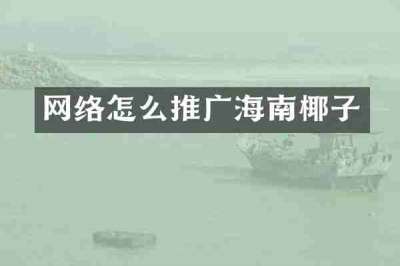 网络怎么推广海南椰子
