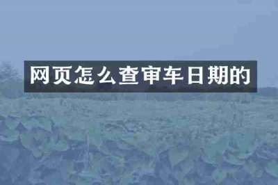 网页怎么查审车日期的