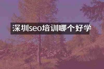 深圳seo培训哪个好学