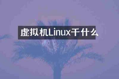 虚拟机Linux干什么