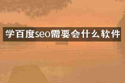 学百度seo需要会什么软件