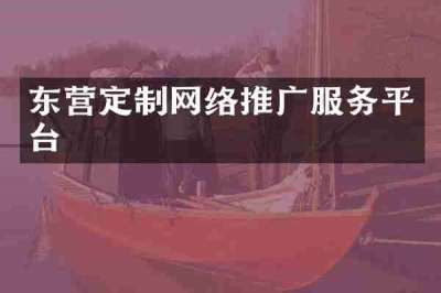 东营定制网络推广服务平台