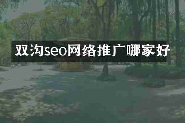 双沟seo网络推广哪家好