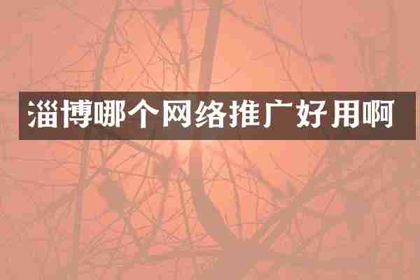 淄博哪个网络推广好用啊