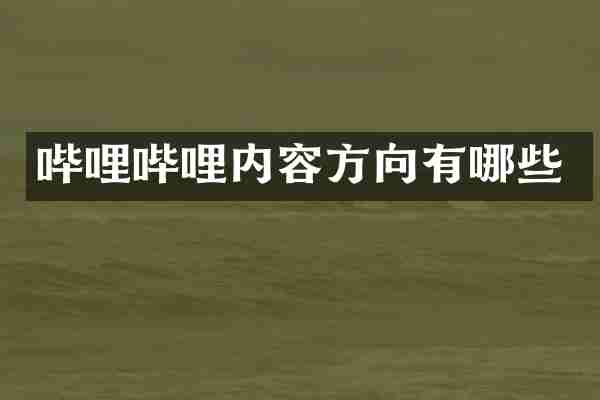 哔哩哔哩内容方向有哪些