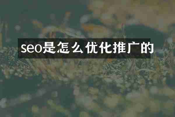 seo是怎么优化推广的