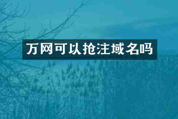 万网可以抢注域名吗