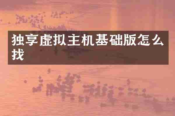 独享虚拟主机基础版怎么找