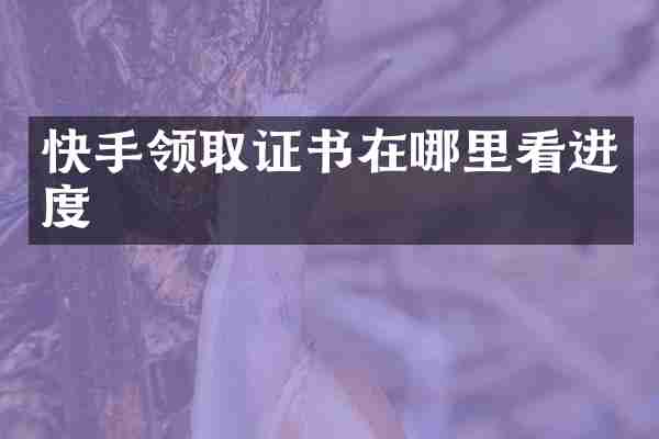 快手领取证书在哪里看进度