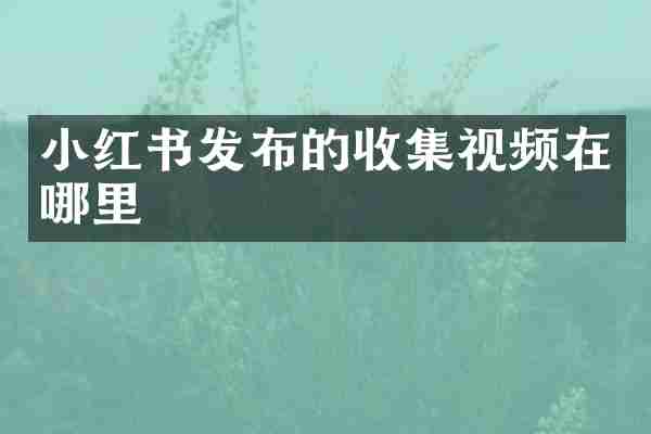 小红书发布的收集视频在哪里