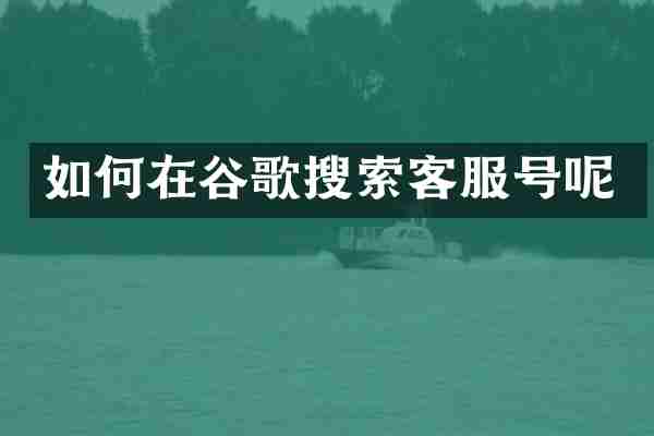 如何在谷歌搜索客服号呢