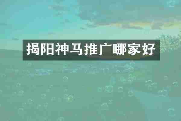 揭阳神马推广哪家好