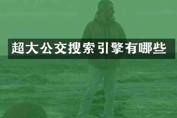 超大公交搜索引擎有哪些