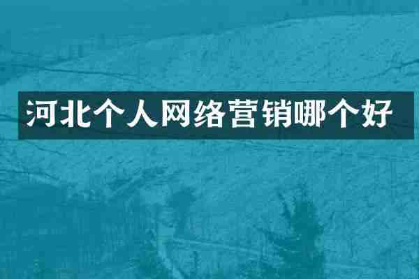河北个人网络营销哪个好