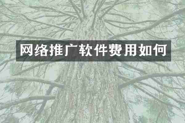 网络推广软件费用如何