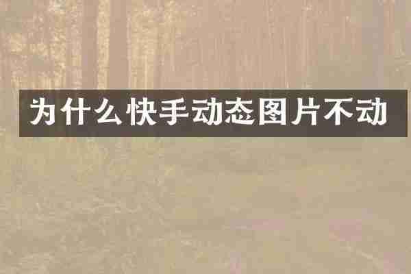 为什么快手动态图片不动