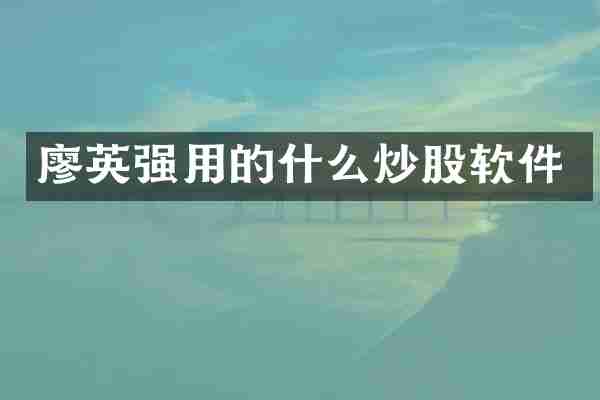 廖英强用的什么炒股软件