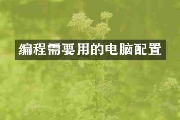 编程需要用的电脑配置