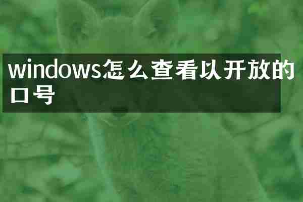 windows怎么查看以开放的端口号