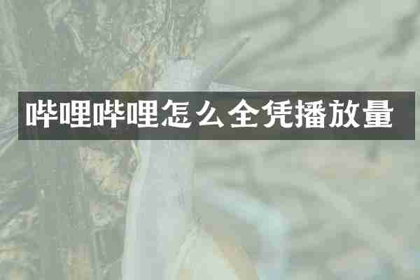 哔哩哔哩怎么全凭播放量