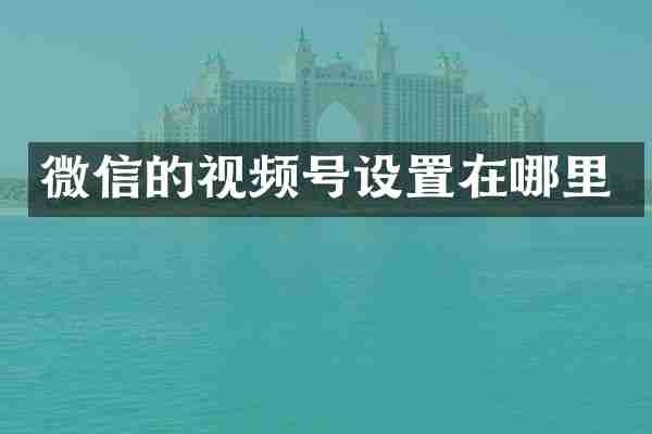 微信的视频号设置在哪里