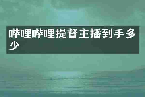 哔哩哔哩提督主播到手多少