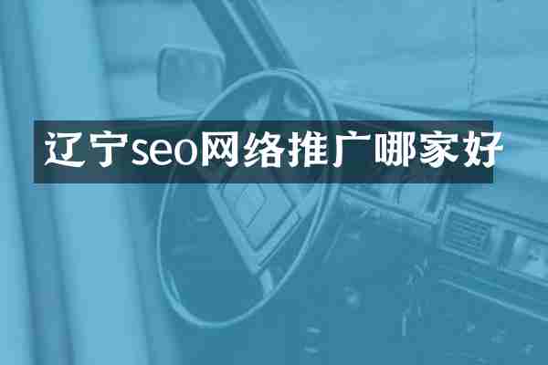 辽宁seo网络推广哪家好