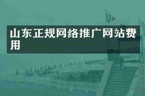 山东正规网络推广网站费用