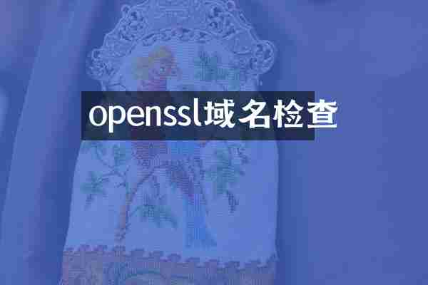 openssl域名检查