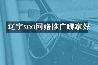 辽宁seo网络推广哪家好