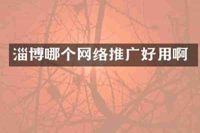 淄博哪个网络推广好用啊
