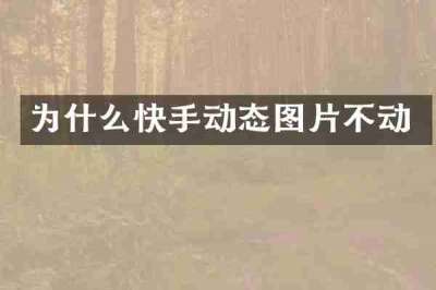 为什么快手动态图片不动