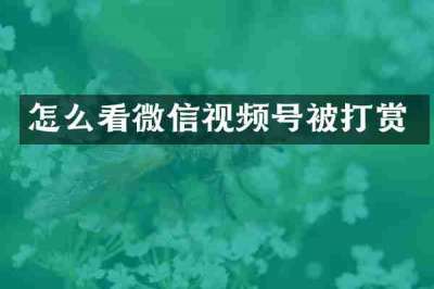 怎么看微信视频号被打赏