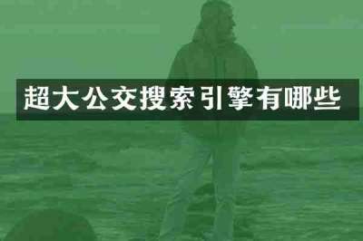 超大公交搜索引擎有哪些