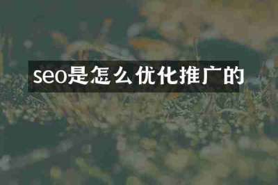 seo是怎么优化推广的
