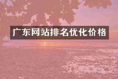 广东网站排名优化价格