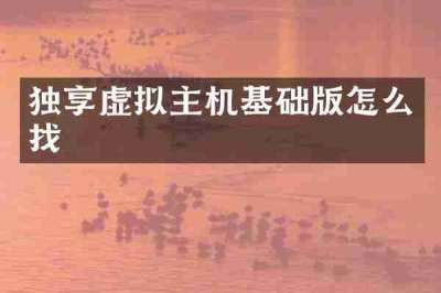 独享虚拟主机基础版怎么找
