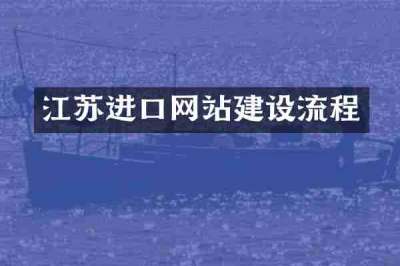 江苏进口网站建设流程