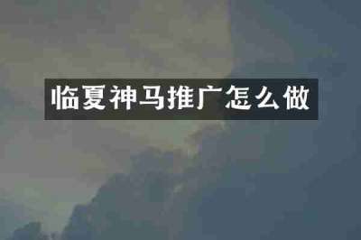 临夏神马推广怎么做