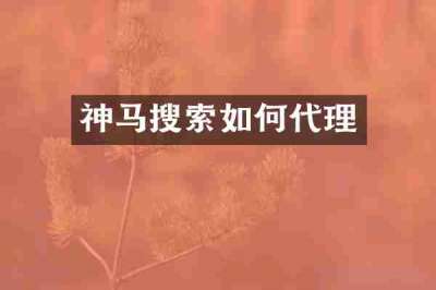 神马搜索如何代理