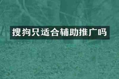 搜狗只适合辅助推广吗