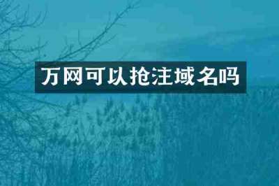 万网可以抢注域名吗
