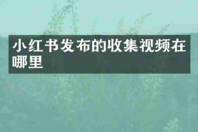 小红书发布的收集视频在哪里