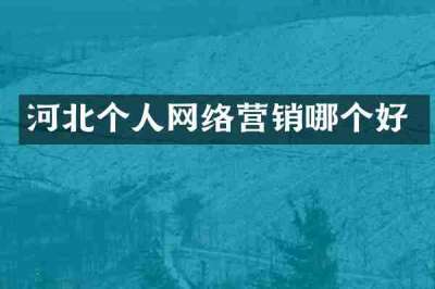 河北个人网络营销哪个好