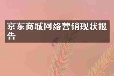 京东商城网络营销现状报告